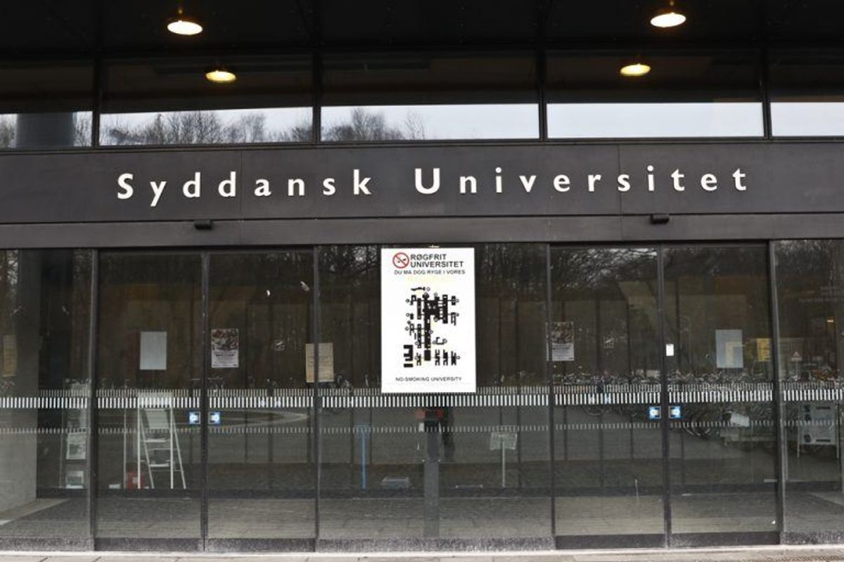 11, 3 i gennemsnit:
Klinisk biomekanik, Syddansk Universitet
Psykologi, Aarhus Universitet. Kilde: Styrelsen for Uddannelse og Forskning. Arkivfoto.