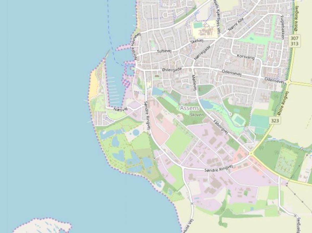 Assens: Assens Næs strand Foto: Openstreetmaps-bidragsydere.