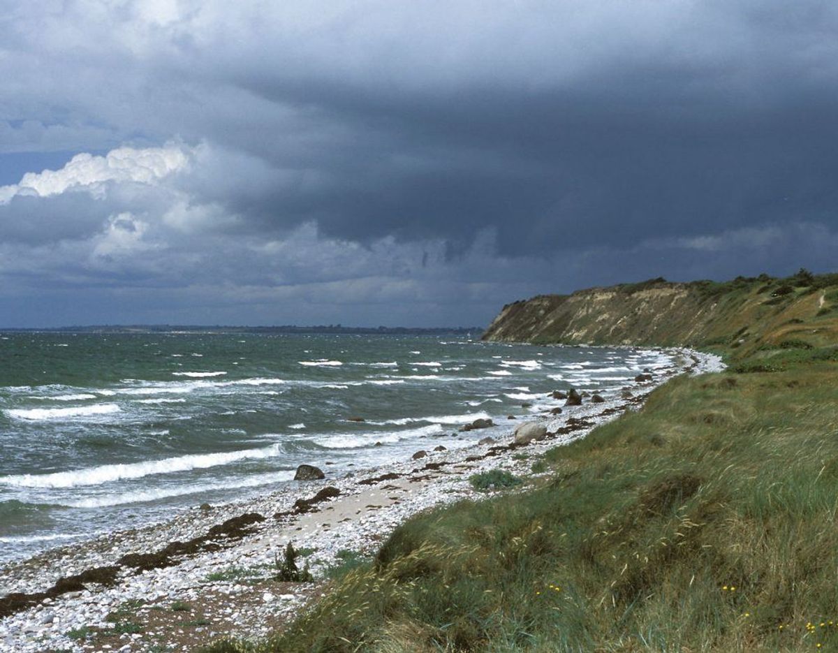 Langeland: Ristinge Strand
Foto: Scanpix