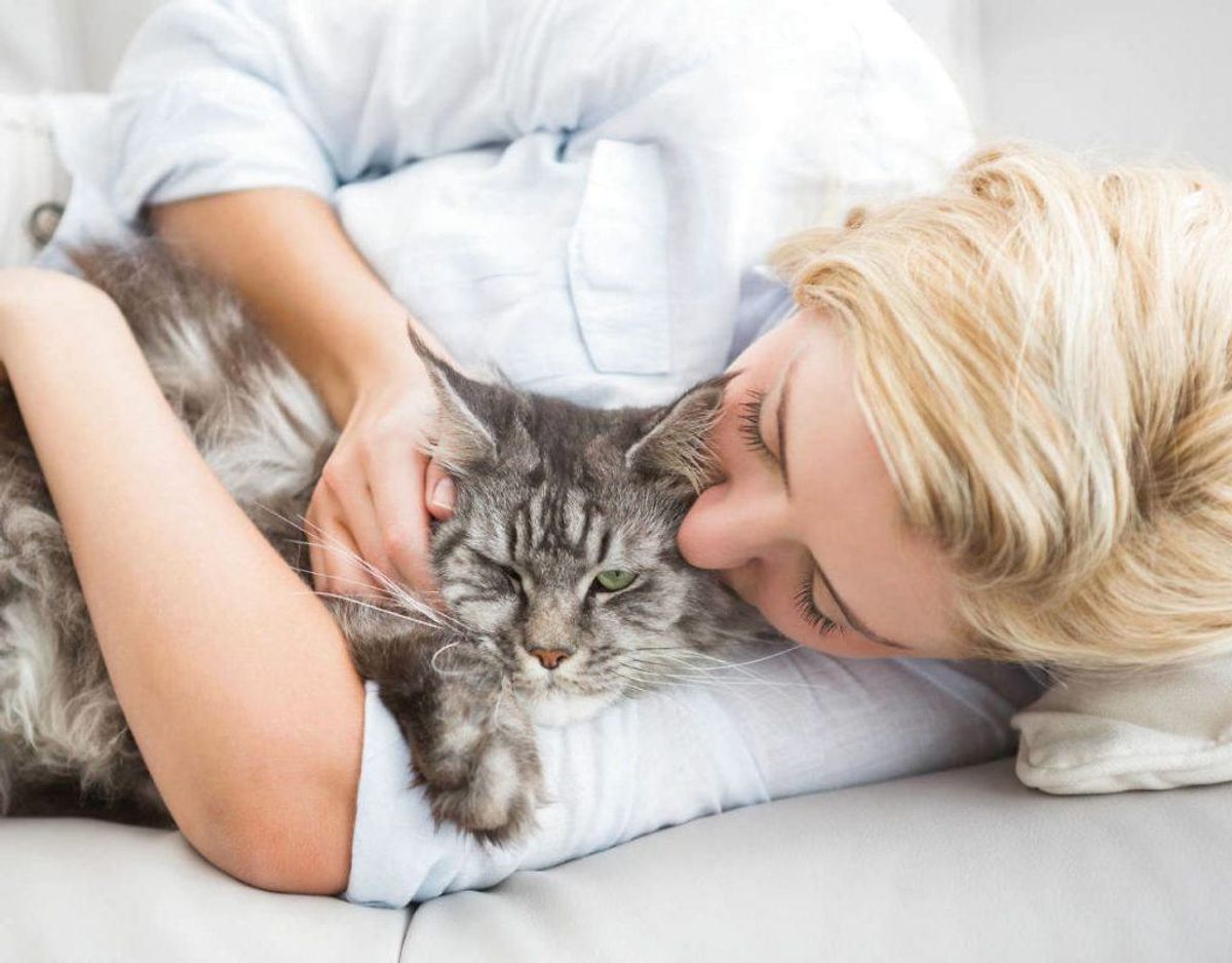 Et studie viser, at du kan mindske mængden af stresshormonet kortisol i din krop, hvis du bruger 10 minutter på at kæle med hunde og katte. Foto: Scanpix