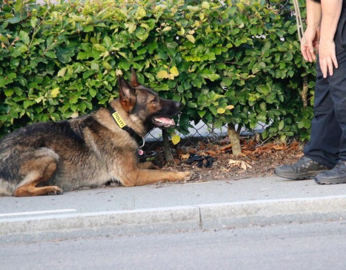 Politiet rykkede ud tirsdag den 25. juni om aftenen. Foto: Presse-fotos.dk.