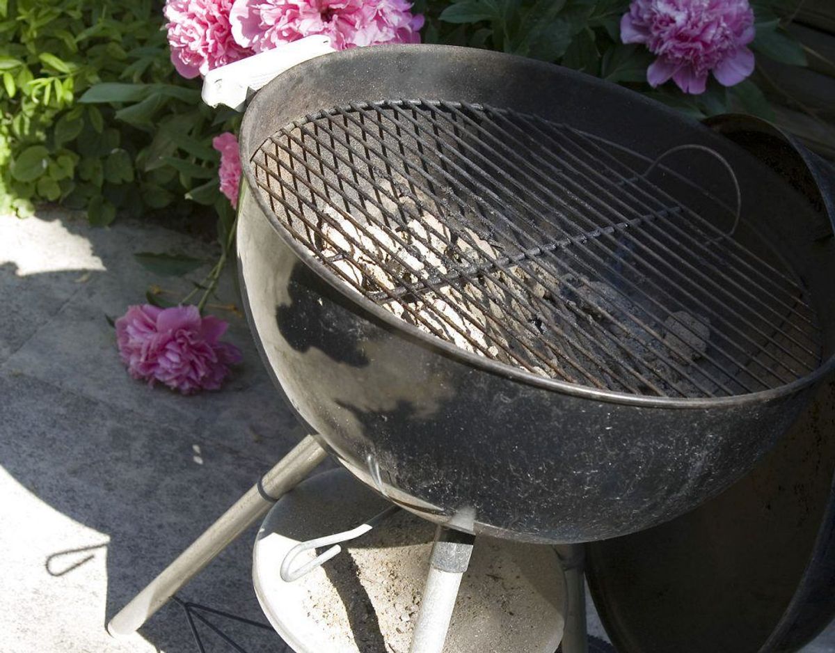 Næste gang du griller, er det en god idé at starte med at give grillristen en tur med stålbørsten, når grillen og risten er blevet varm. Kilde: Bolius Foto: Scanpix