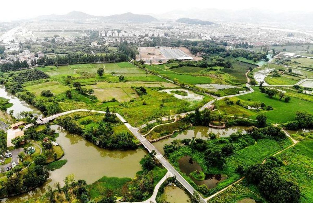 I Dafeng i Kina har en elgepark fundet vej til listen. Foto: Scanpix