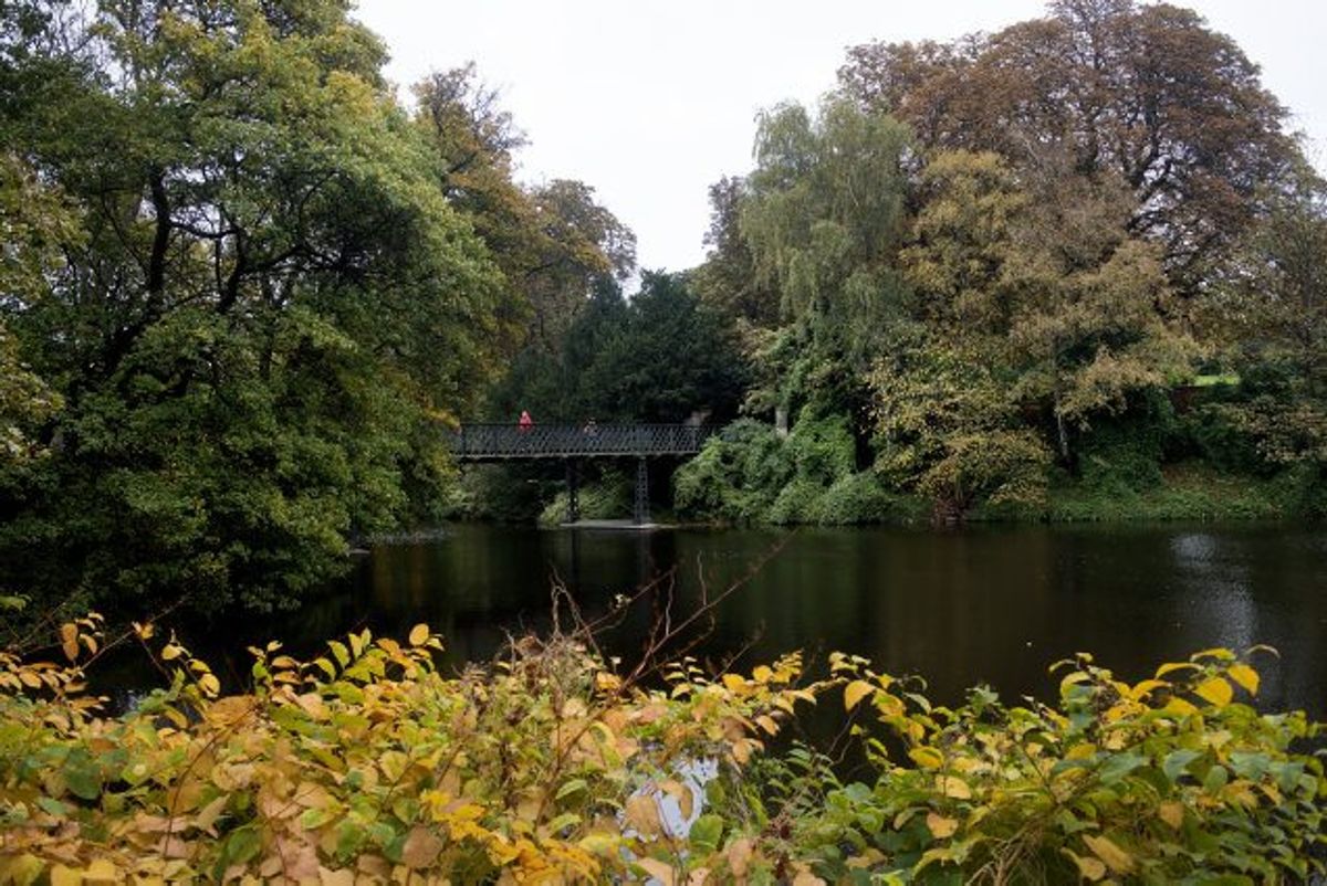 En 23-årig mand er tiltalt for at have begået en voldtægt mod en mand i Ørstedsparken i København (billedet) i september sidste år. Manden er ligeledes tiltalt for at have dræbt sin morfar og en række forhold om trusler og røveri. (Arkivfoto) Foto: Liselotte Sabroe/Scanpix