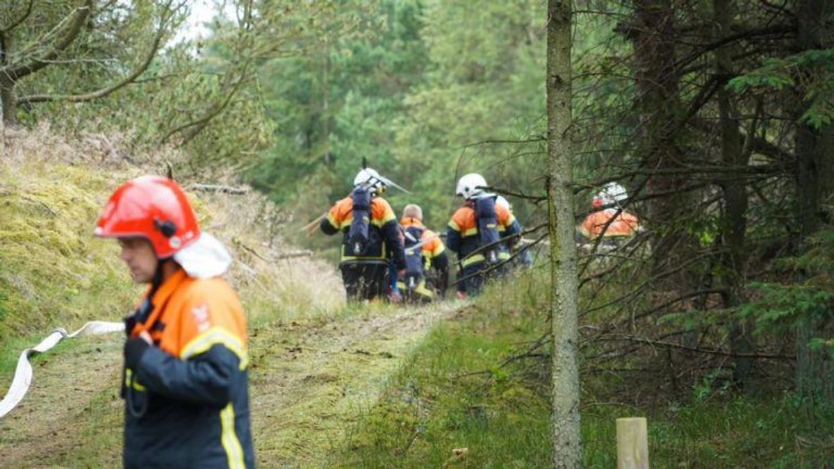 Foto: Presse-fotos.dk.