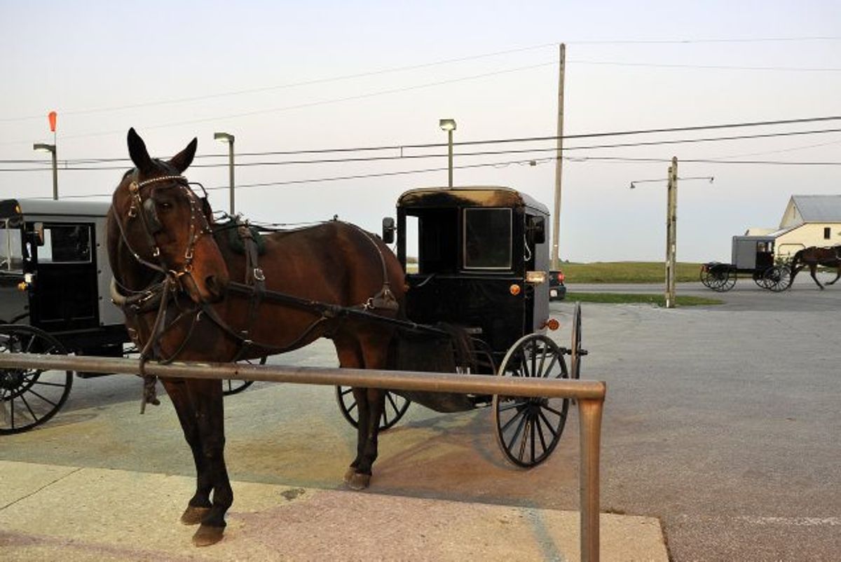 Amish-folkets primære transportmiddel er hestevogne. Her ses en amish-hestevogn i Pennsylvania, USA. (Arkivfoto). Foto: Mladen Antonov/AFP