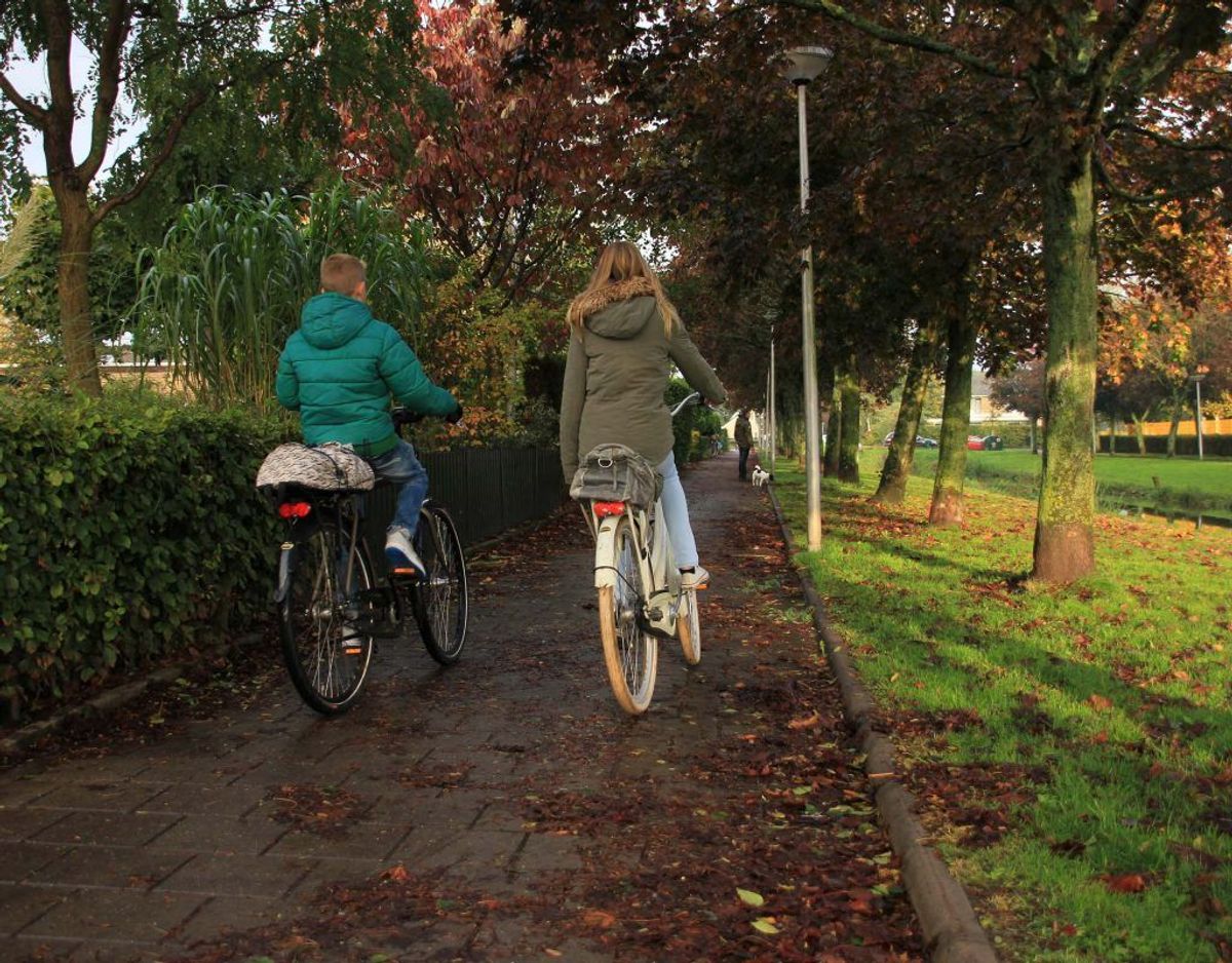 Hække ud til offentlige områder må ikke genere forbipasserende eller trafikanter. Hækken må altså ikke blive så bred eller høj, at den for eksempel spærrer for udsynet ved et vejkryds eller et sving.
Kommunen give dig en tidsfrist til at klippe hækken, hvis den generer. Hvis du ikke gør det inden for fristen, har kommunen lov til at klippe hækken på din regning. Kilde: Forbrugerrådet Tænk. Foto: Colourbox. Klik videre i galleriet for at se flere regler.