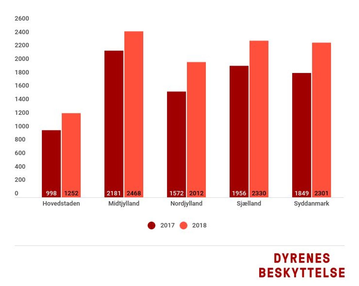 Antallet af henvendelser om påkørte hjorte er steget voldsomt fra 2017 til 2018 i hver region. Der er flere råd på næste billede. Kilde: Dyrenes Beskyttelse.