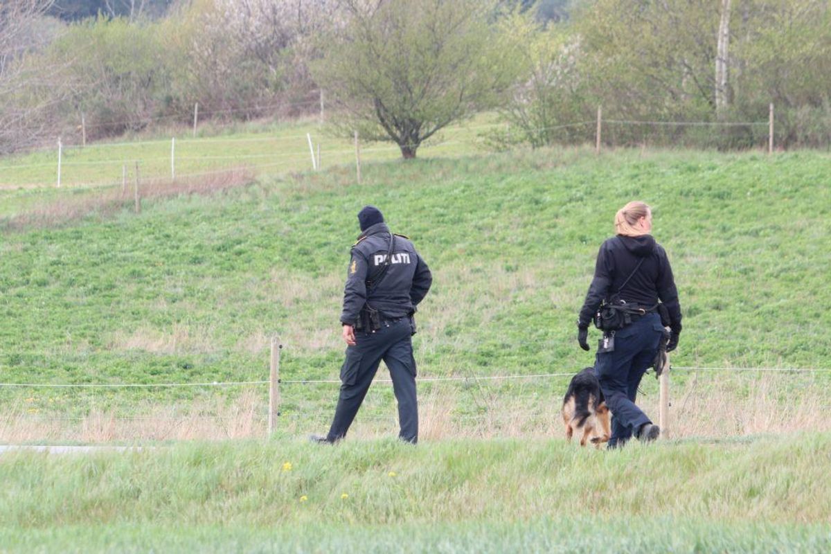 Området er afspærret. Politiet arbejder. Foto: Presse-fotos.dk.