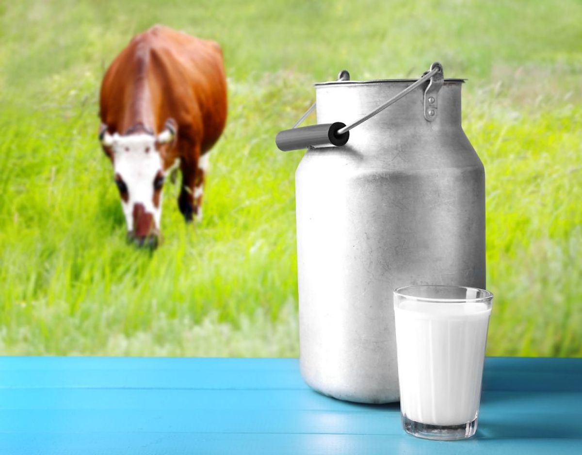 Undgå råmælk og oste fremstillet af rå mælk (upasteuriseret).