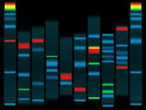 Hjemmerøveri: DNA-spor passer til to forskellige