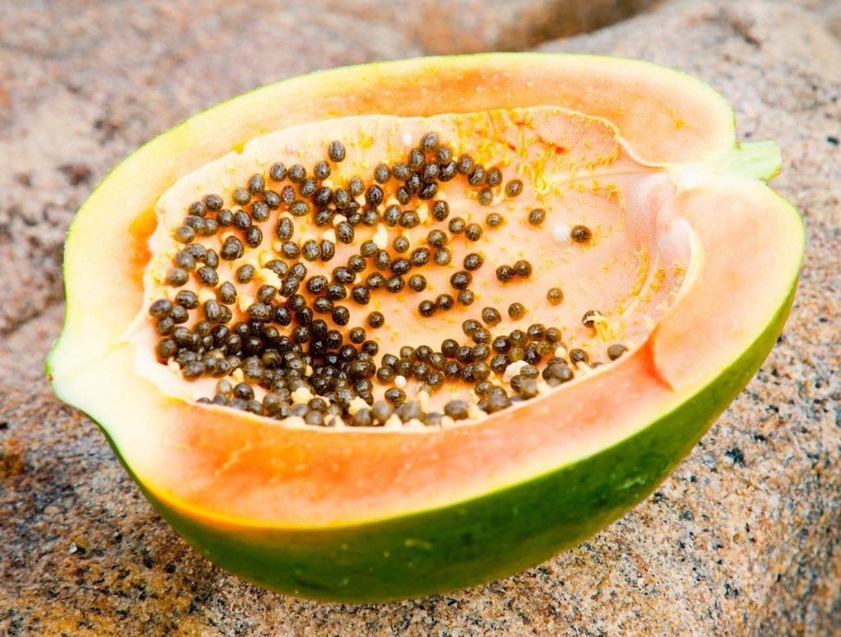Papaya. Kilde: Videnskab.dk. Arkivfoto.