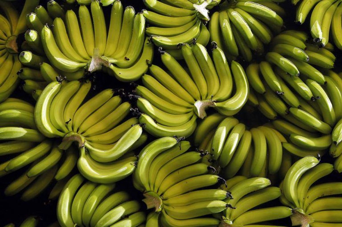 Bananer er fyldt med kalcium, hvilket er godt for dig. Det hjælper med at omsætte næring i kroppen. Foto: Scanpix