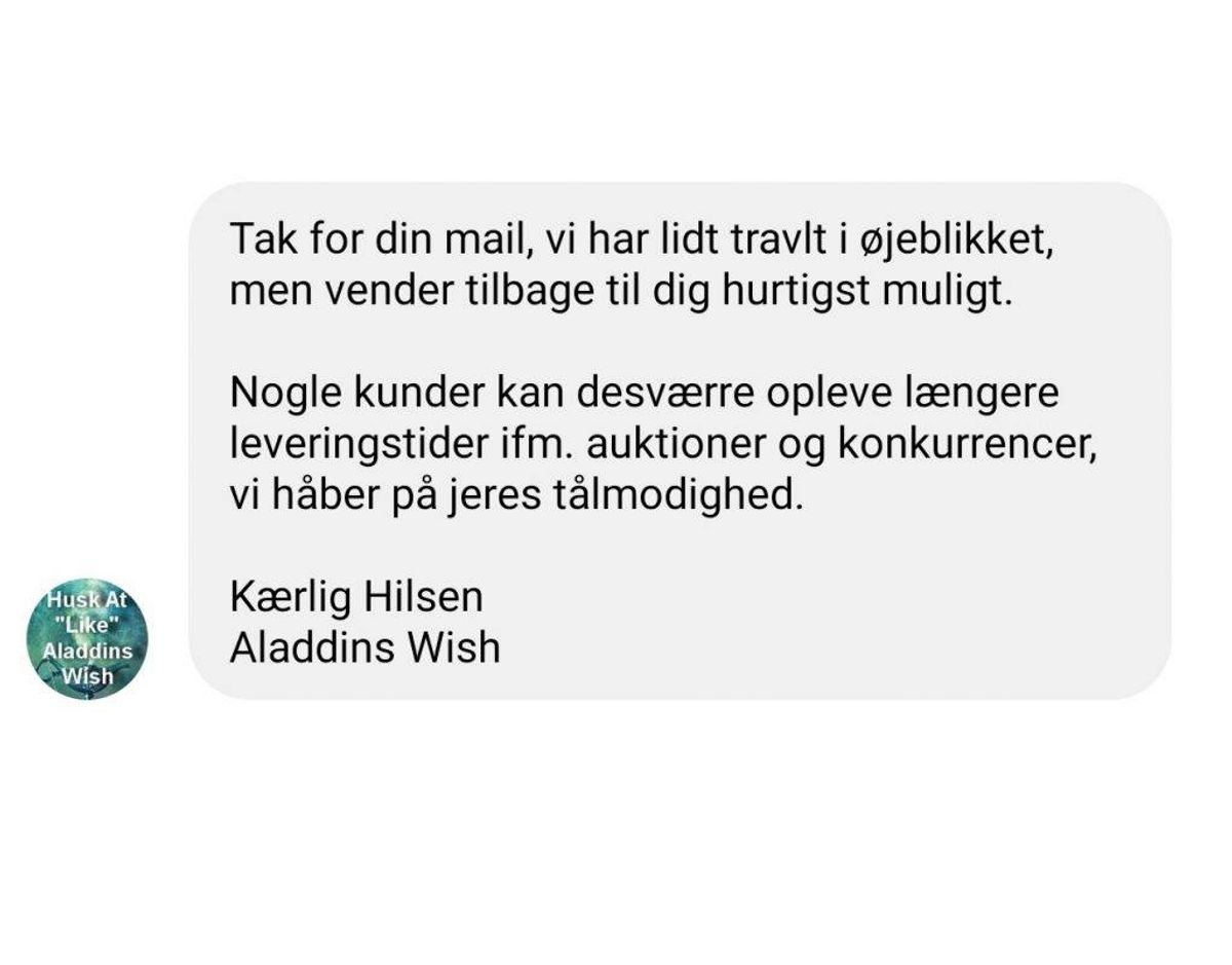 Anne-Mette Sørensen får et standardiseret autosvar på Facebook, når hun forsøger at kontakte Aladdins Wish. Foto: Screenshot
