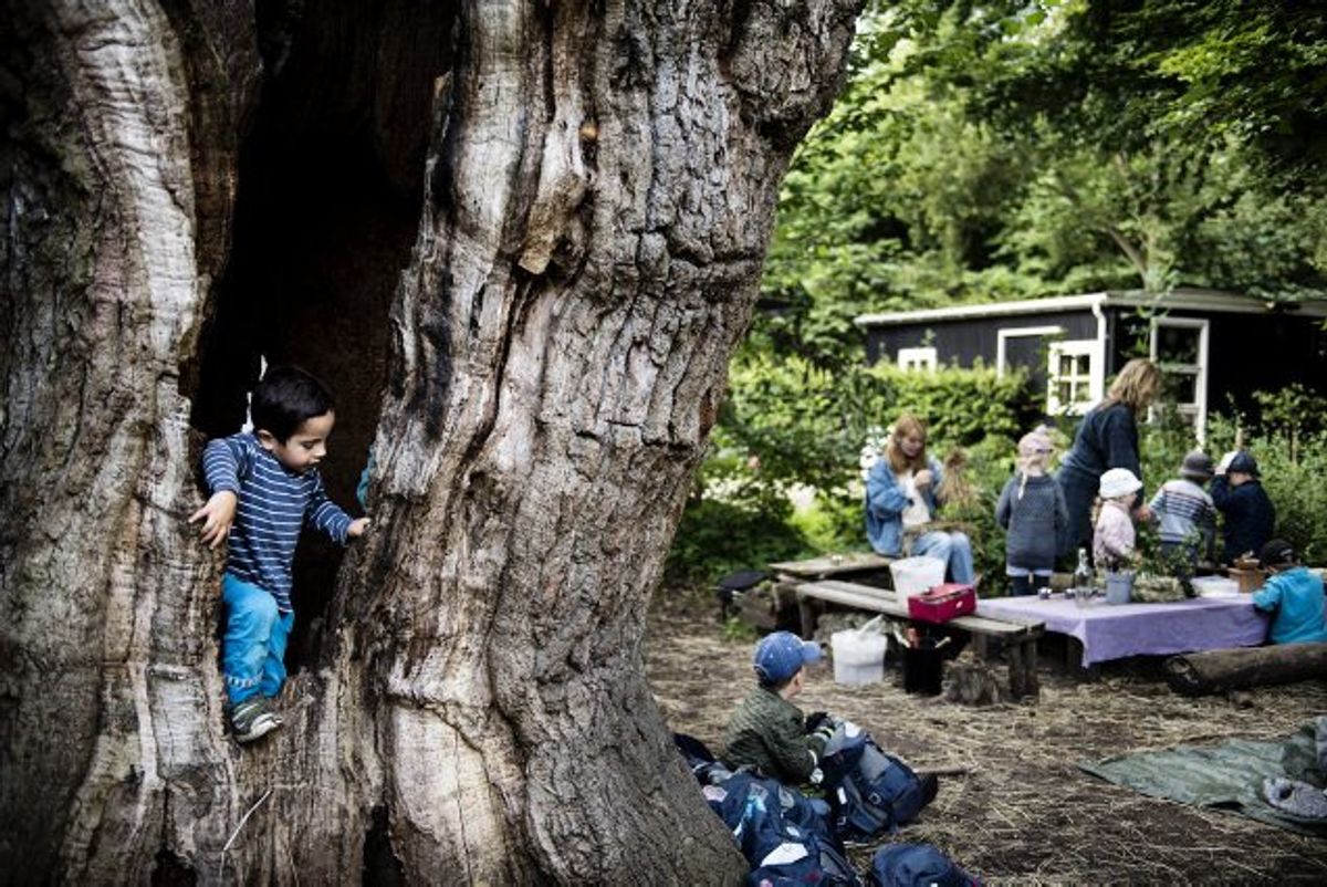 I Sverige har man set en faglig fremgang hos skolebørn, der var meget udendørs. Og amerikansk forskning har vist, at naturbørn er tilbøjelige til at blive mere miljøbevidste som voksne. (Arkivfoto) Foto: Thomas Lekfeldt/Scanpix