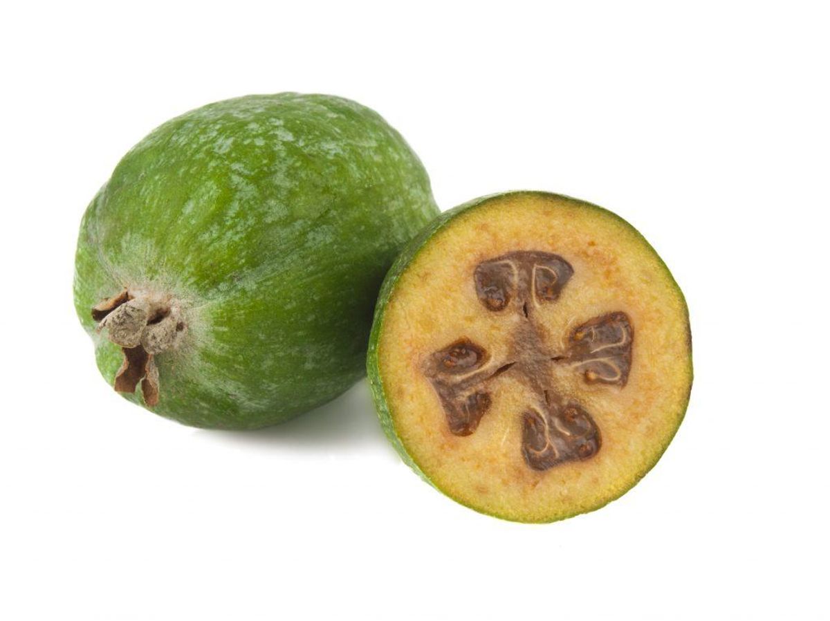 Guava. Kilde: Videnskab.dk. Arkivfoto.