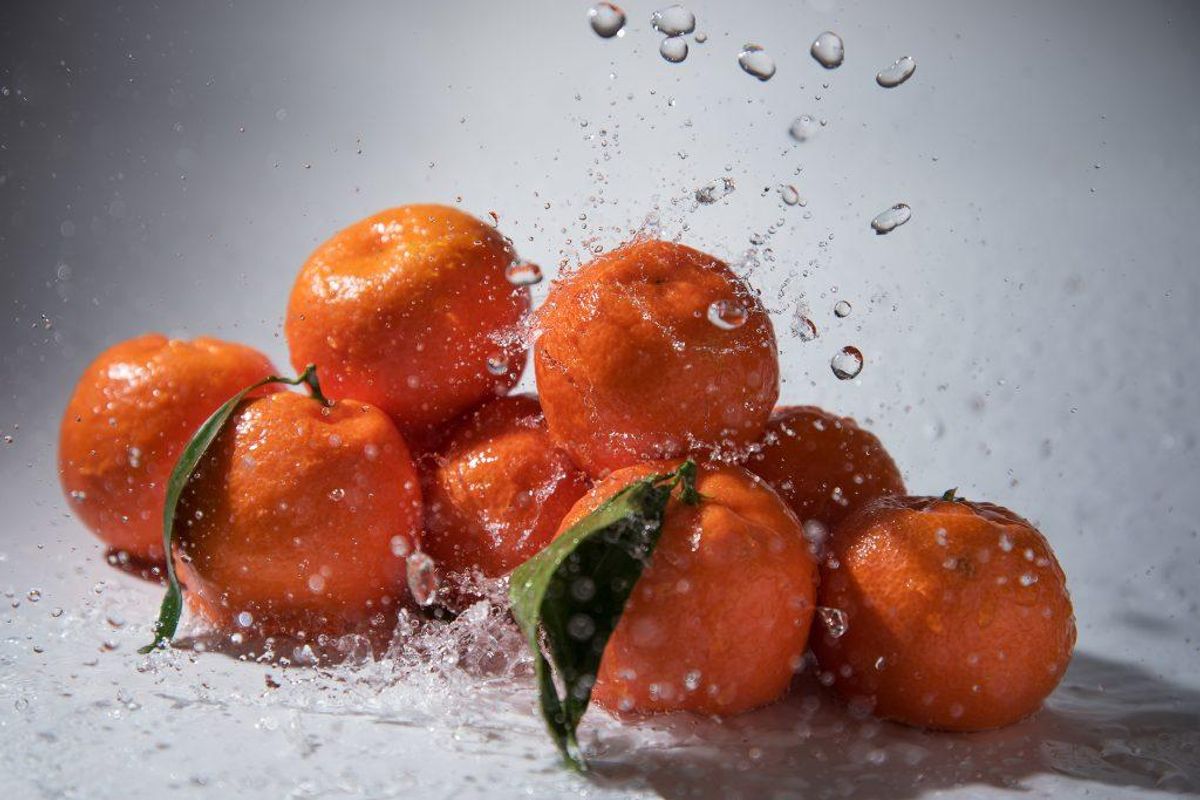 Citrusfrugter. Kilde: Videnskab.dk. Arkivfoto.