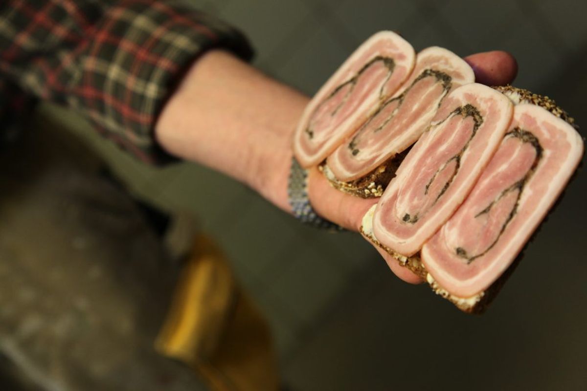 Rullepølse. Kilde: Fødevarestyrelsen. Arkivfoto.