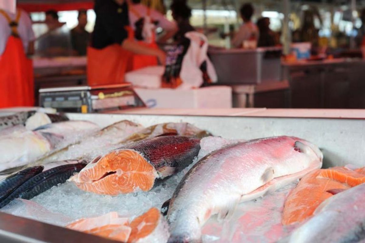 Rensede ferske fisk, tilberedte eller forarbejdede fiskevarer. Højst 20 kilo eller en fisk per person. Også her er der betingelser, der skal være opfyldt. Se mere på Fødevarestyrelsens hjemmesid. Foto: Colourbox.