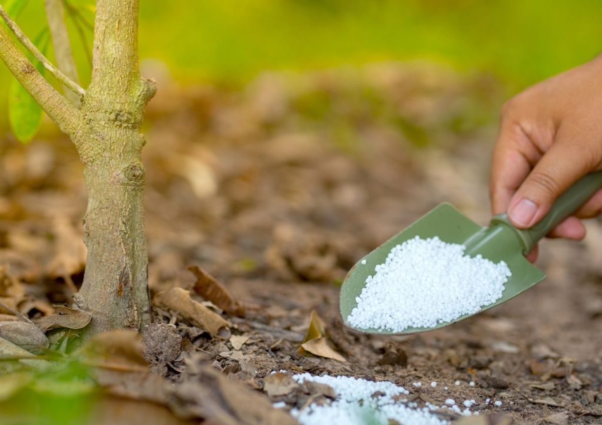 Gødningsmidlet urea er skånsomt mod planter og virker ned til minus 4 grader.