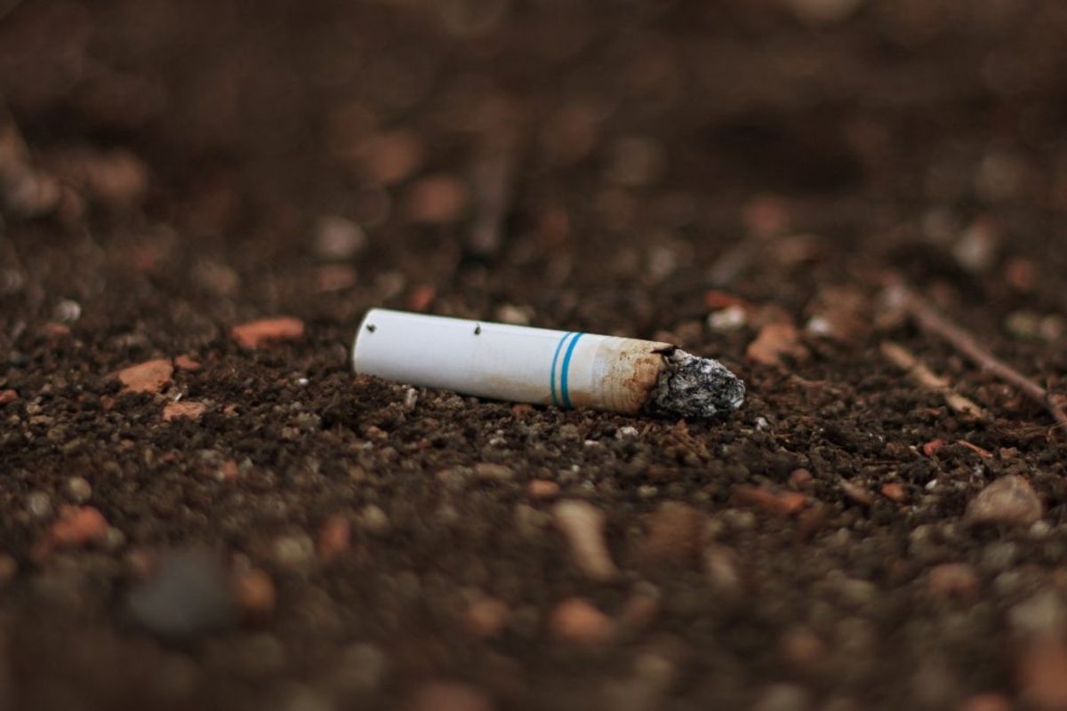….. og nej. Du må heller ikke smide dine cigaretskodder i toilettet. Foto: Scanpix