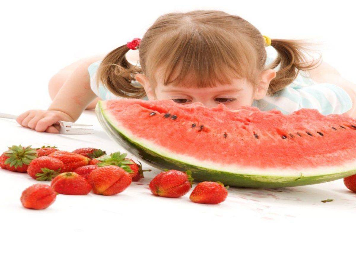 Melonproduktion kræver virkelig mange bier – også flere en der er naturligt. Foto: Colourbox