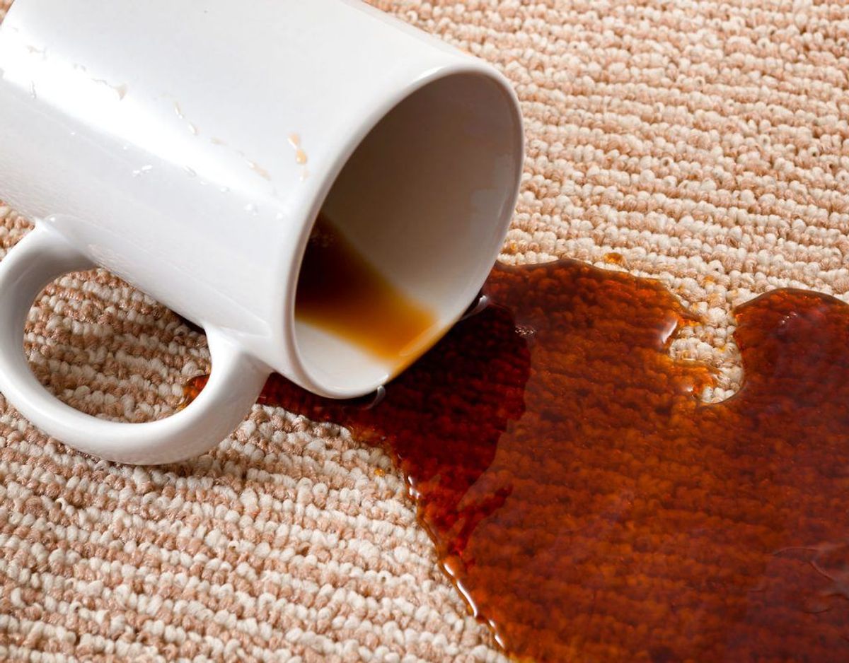 Kaffe på gulvtæppet? Tør så meget af kaffen op som muligt. Bland derefter en spiseskefuld flydende opvaskemiddel med en spiseskefuld lys eddike og to kopper varmt vand. Brug en ren, hvid klud, til at påføre blandingen på pletten en smule ad gangen. Til sidst dupper du med en tør klud, til pletten er væk. Foto: Scanpix