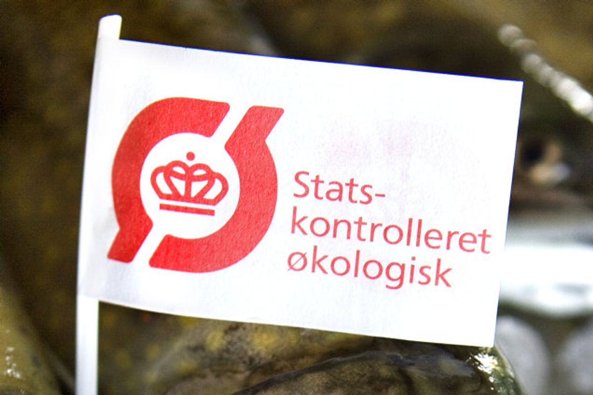Klik igennem galleriet for at få grundene til at købe økologisk. Foto: Jens Nørgaard Larsen/Scanpix