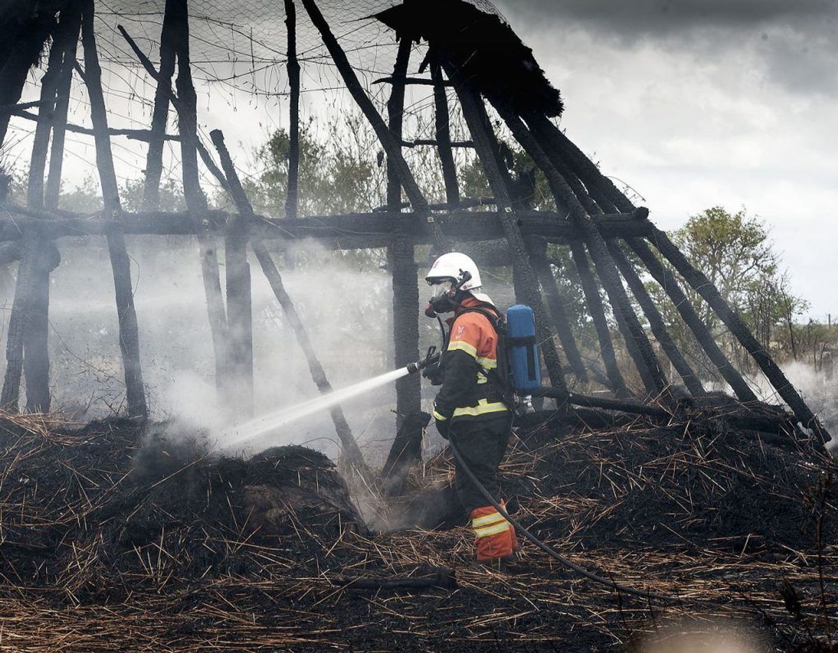 Branden gik voldsomt ud over et rekonstrueret jernalderhos. Foto: Hans Chr. Gabelgaard/Ritzau Scanpix. KLIK FOR FLERE BILLEDER