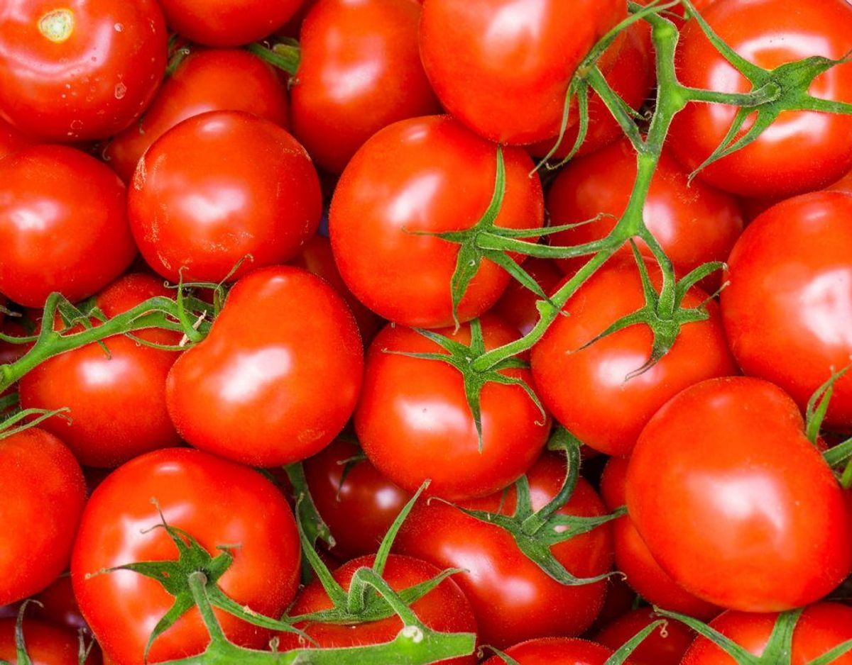 Norovirus og salmonella kan findes i tomater.