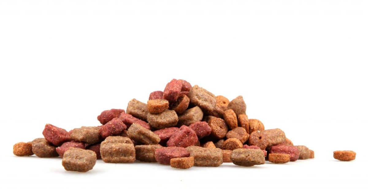 Forarbejdet foder til hunde, katte og fritter (fx tyggeben, dåsefoder og blandinger, som indeholder kød eller mælk): IKKE tilladt – af medicinske årsager: Dog to kilo per person. Foto: Colourbox.