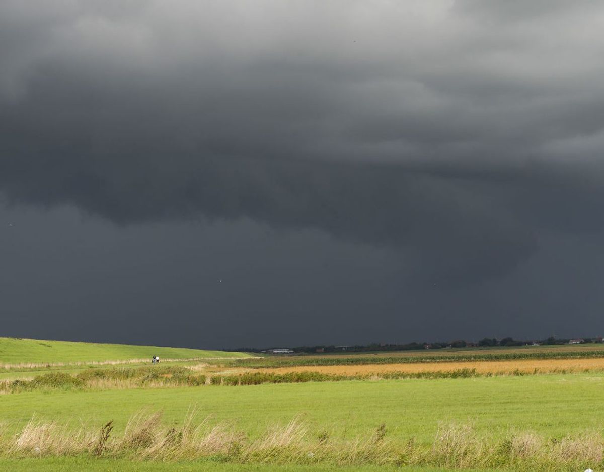 Vejret 29. maj 2018 bliver skidt – eller i hvert tilfælde vådt – inden det bliver godt igen. Men rigtig koldt bliver det aldrig. Arkivfoto: Torben Christensen/Scanpix
