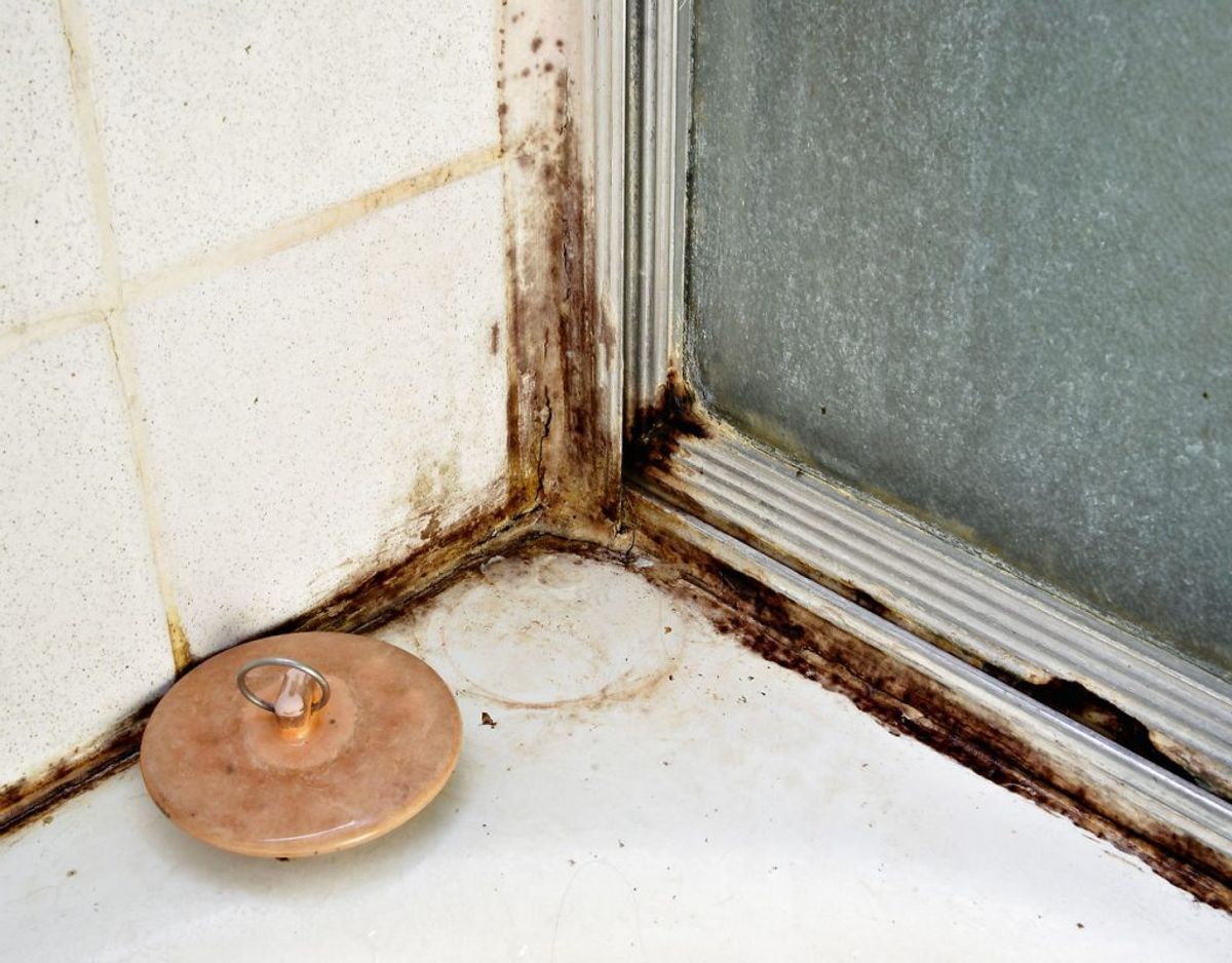 Vil du være sikker på, at dit hjem er rent på den rigtige måde, så skal du følge denne guide, du kan se ved at klikke dig gennem galleriet her. Fotos: Scanpix / Kilde: Good Housekeeping