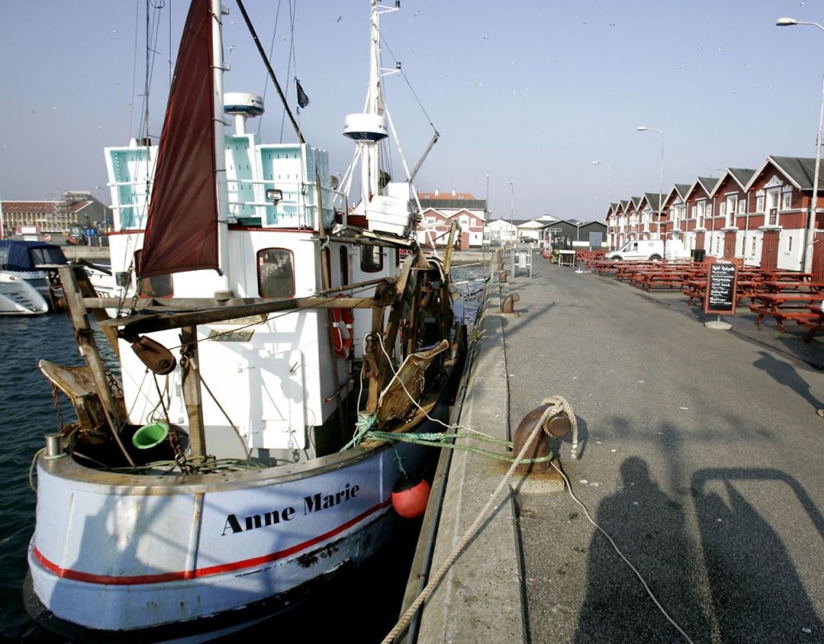 En 74-årig mand er druknet efter at være faldet i vandet på havnen i Skagen. Foto: Scanpix