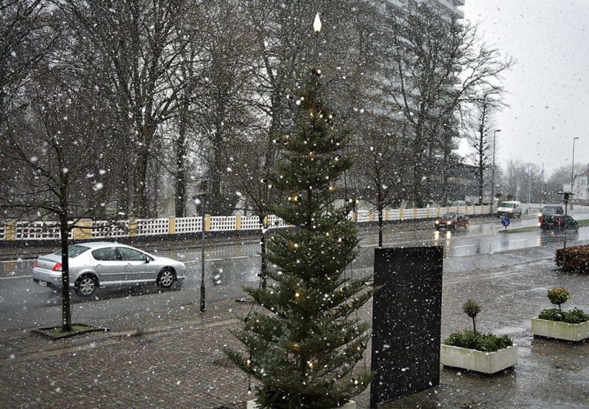 Tøsne: “Faldende sne, som er våd på grund af begyndende smeltning (Bør ikke forveksles med slud, som er en blanding af regn og sne). Foto: Scanpix