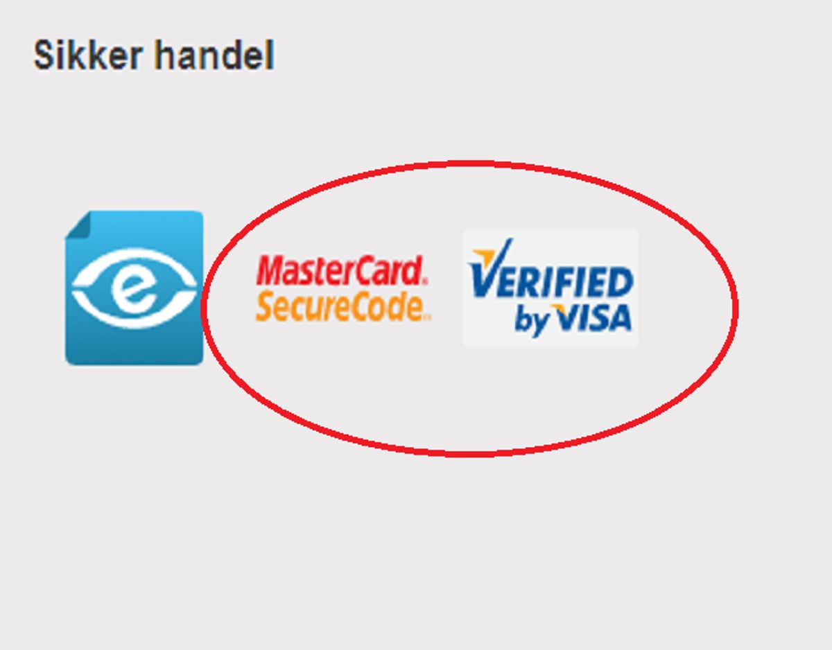 Undersøg om forbindelsen er sikker, før du betaler – det vil sige at netbutikken skal benytte SecureCode/Verifired by Visa, og at hjemmesiden skal have en HTTPS-forbindelse. Foto: Screenshot.