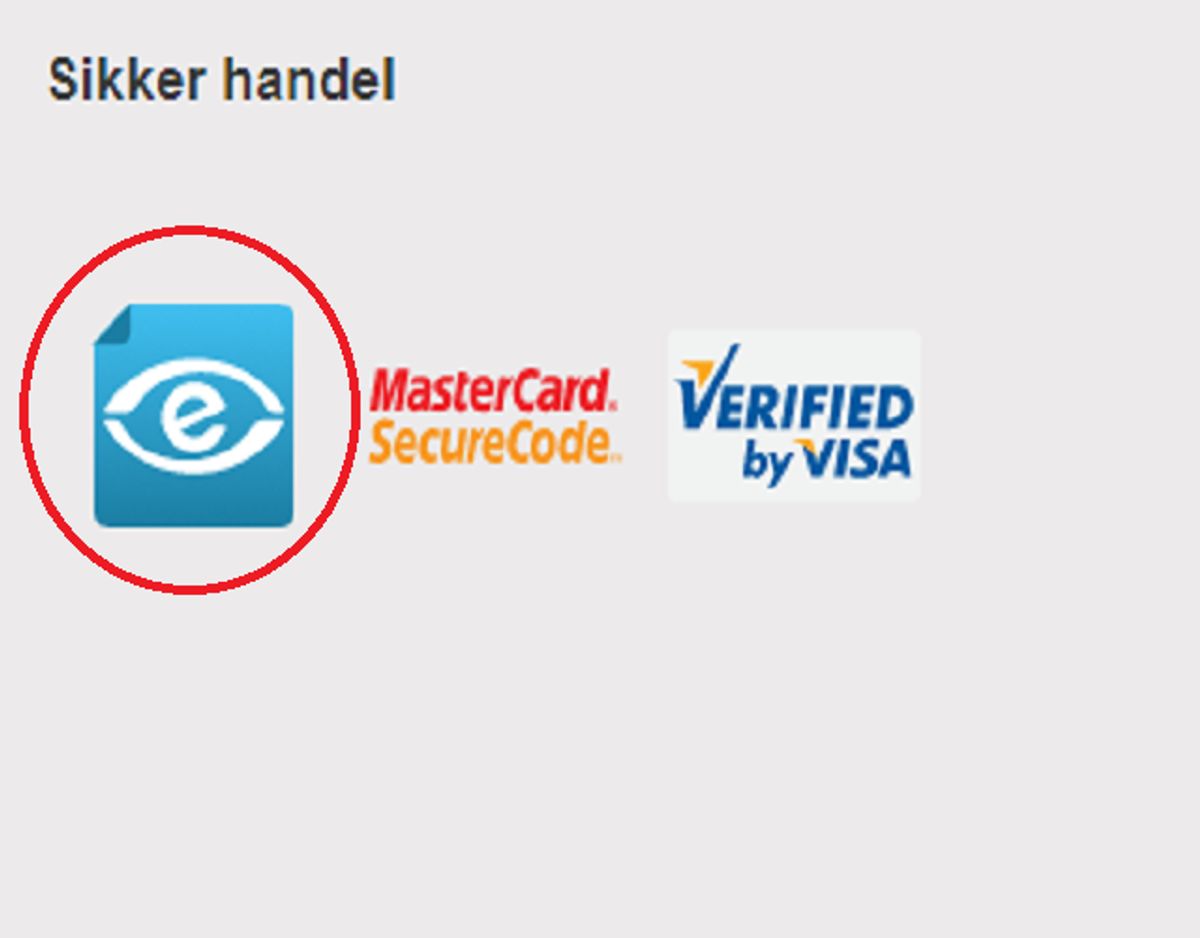 Tjek om netbutikken er e-mærket. Mærket indikerer, at det er i orden at handle der. Foto: Screenshot.