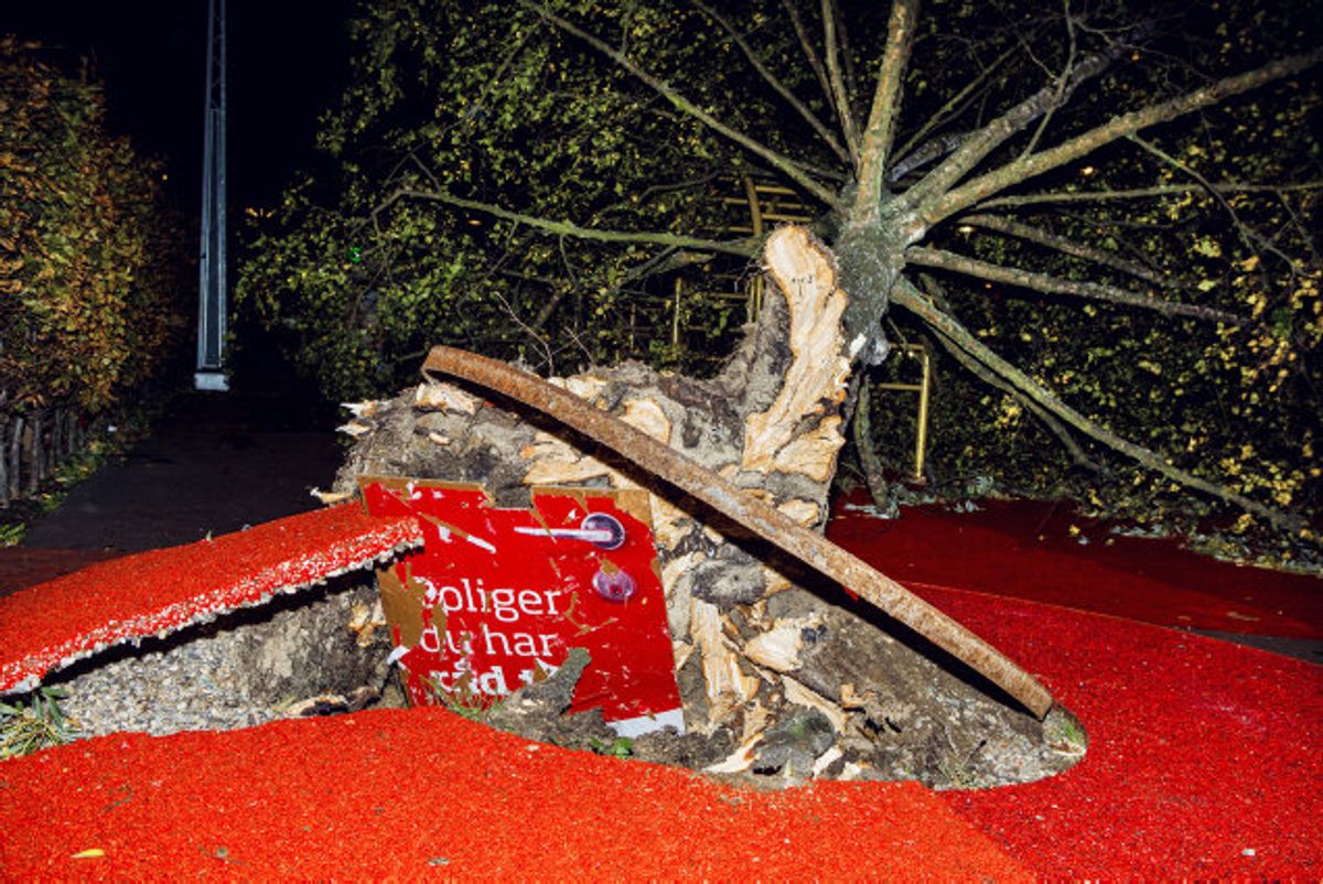 Stormen Ingolf rammer politikere hårdt • Newsbreak.dk