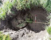 Ukendte gravrøvere på spil: -Har gjort ubodelig skade på kulturarv