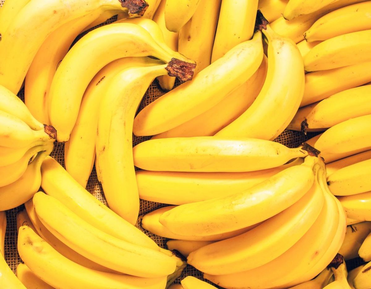 Bananer tåler ikke kulde. De skal derfor opbevares ved stuetemperatur. Foto: Scanpix.