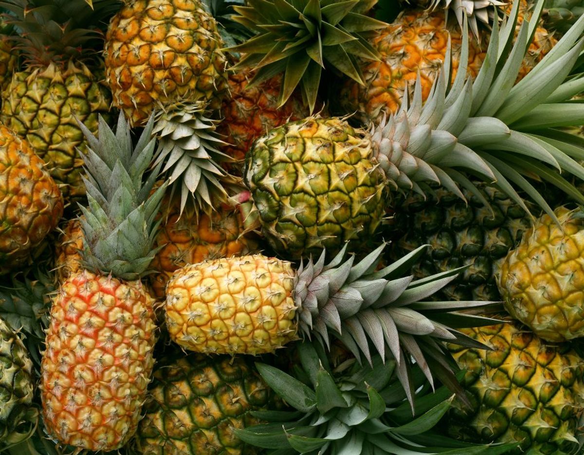 Ananas risikerer at rådne, hvis du opbevarer dem på køl. De skal derfor ligge et sted, hvor der er stuetemperatur. Foto: Scanpix.
