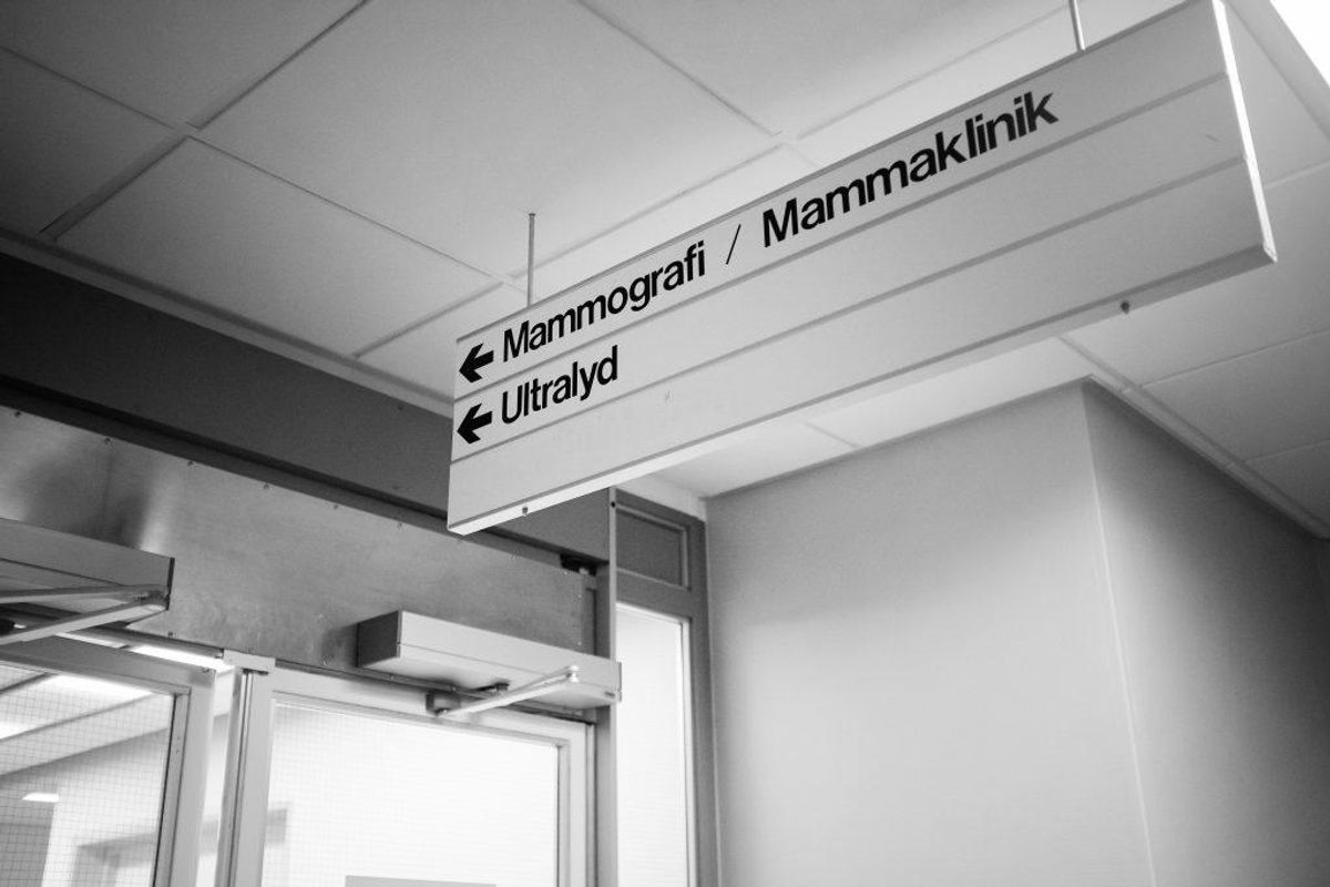Arkiivfoto.