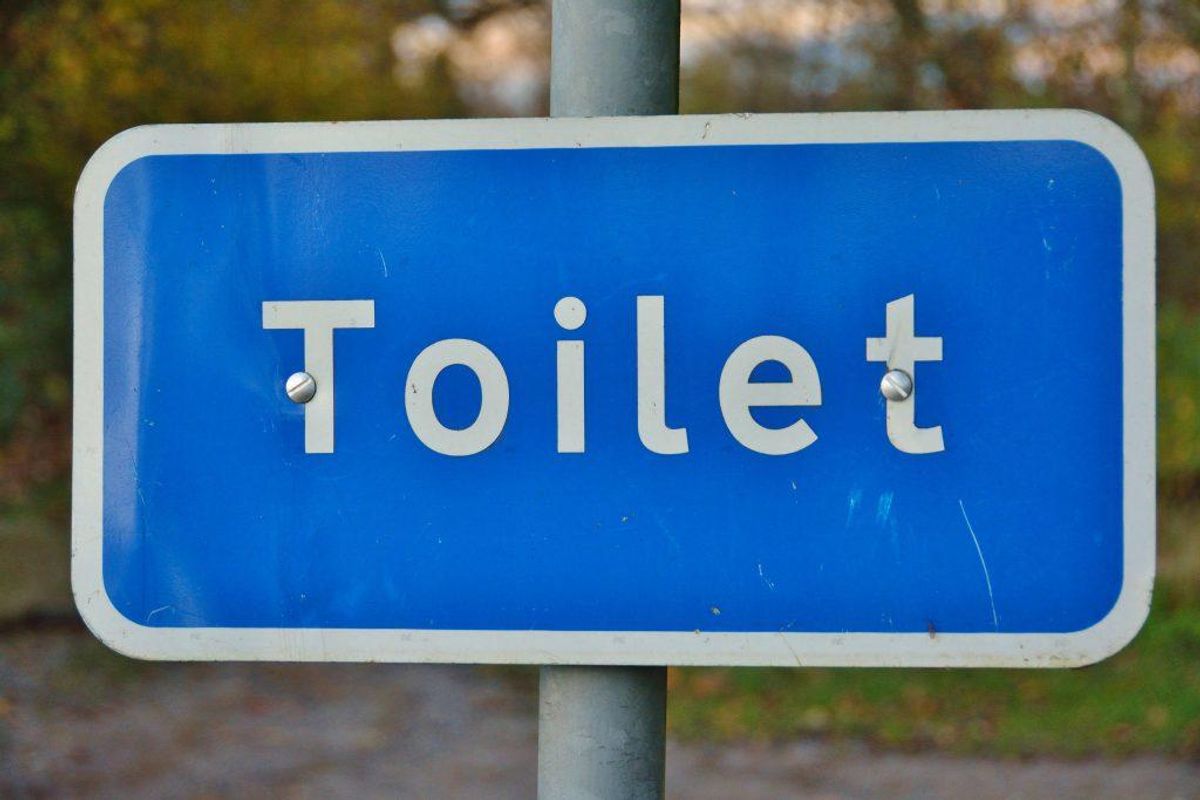 Det var toilettets automatiske låse, der spærrede den 80-årige kvinde inde. KLIK VIDERE OG SE HVOR TOILETTET LIGGER.