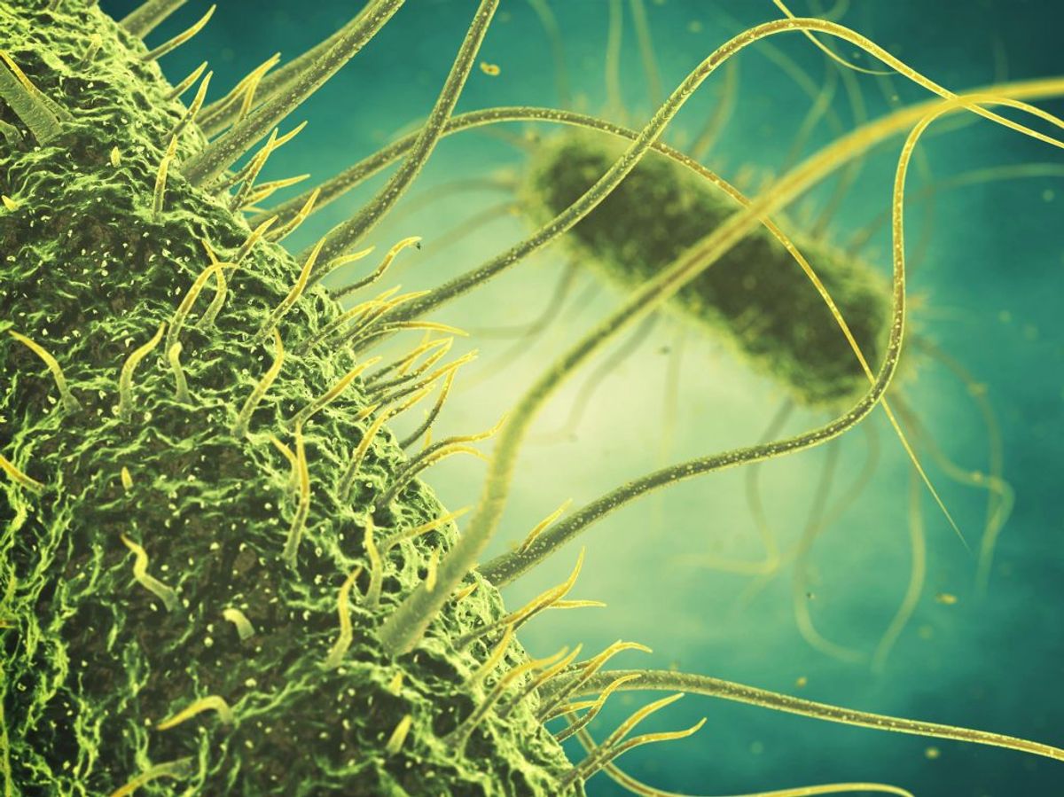 Som så mange andre bakterier ser salmonella alien-agtig ud helt tæt på. Ved du hvor mange typer fødevarer, du kan blive smittet med den fra? Foto: Scanpix. GALLERI: DISSE FØDEVARER KAN SMITTE MED SALMONELLA.
