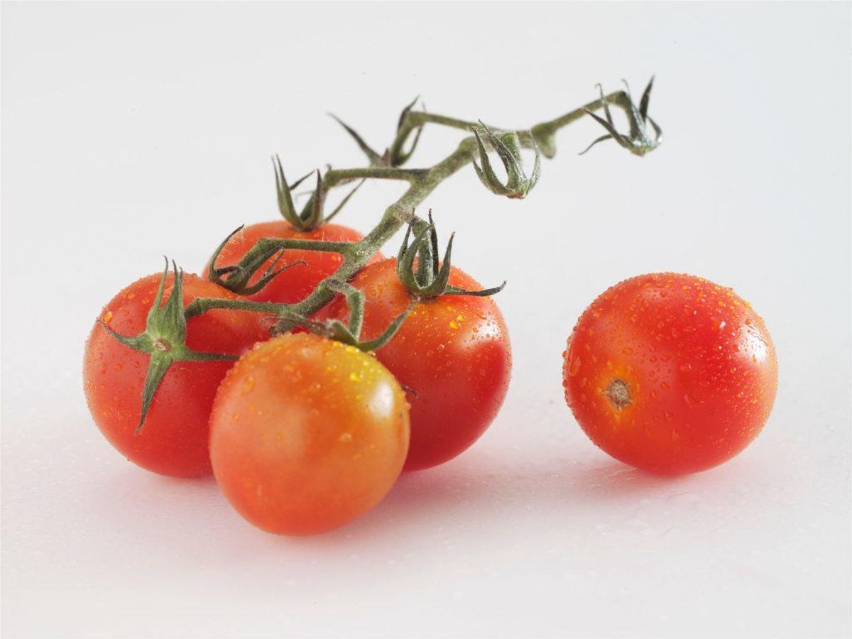 3: I 8 pct. af de konventionelle danske tomater og hele 62 pct. af de konventionelle udenlandske er der fundet rester af sprøjtegift. KLIK og se flere. Foto: Colourbox.