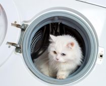 Syv vigtige råd om din vaskemaskine