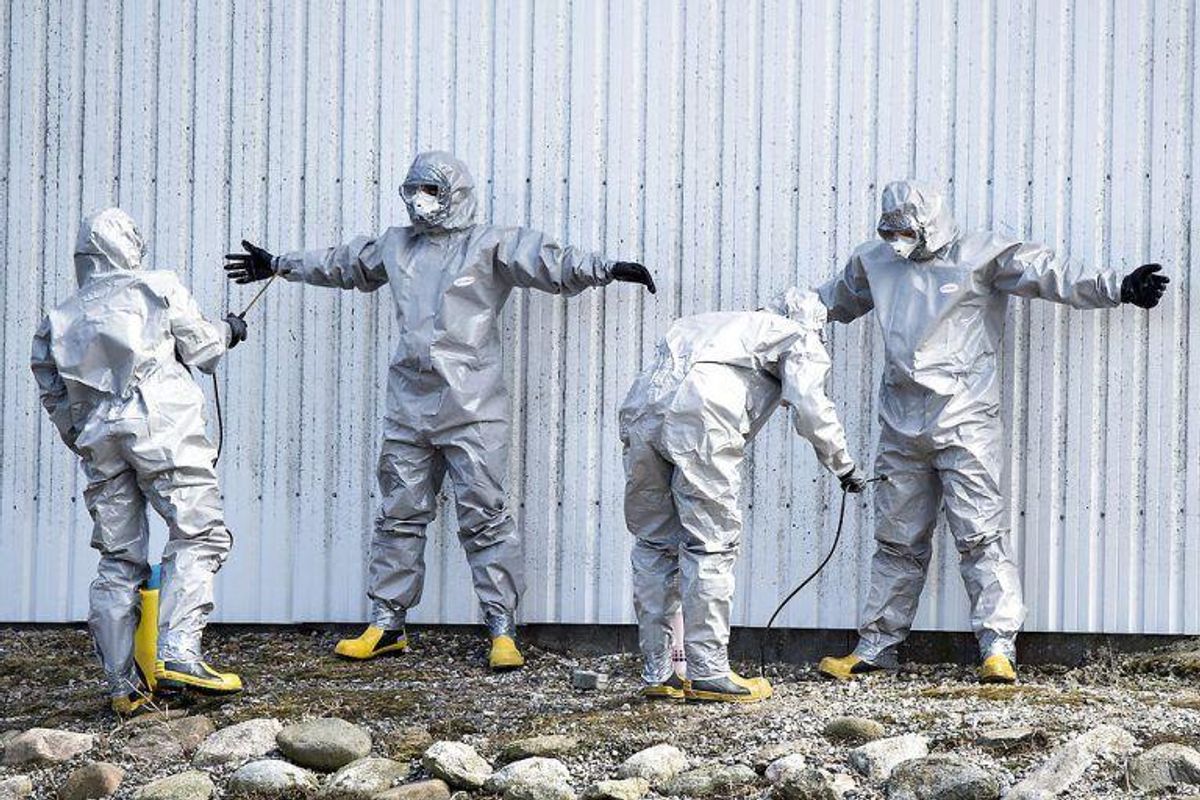 Fugleinfluenza er fundet i blandt andet Tyskland. Den smitsomme sygdom er flere gange tidligere opdaget i Danmark; her fra en aflivning af en besætning i Nordjylland. (Foto: Henning Bagger/Scanpix 2016)