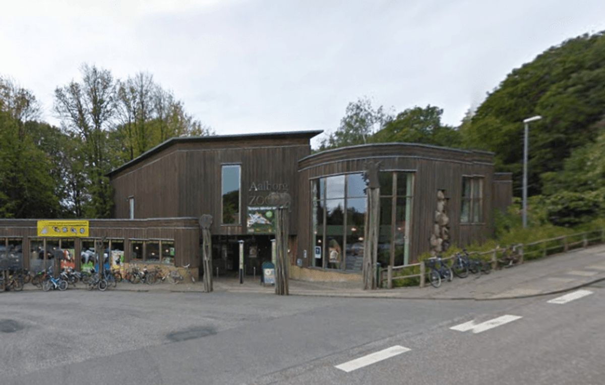 Isbjørnen Vilma er død efter blot to uger her i Aalborg Zoo. Foto: Google Street View.