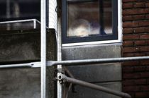 Aktion har forbindelse til formodet trippeldrab-våben