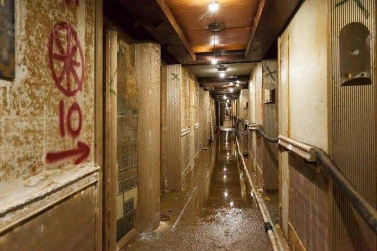 Sådan så Costa Concordia ud efter at have ligget i vandet i flere år. Foto: Hand outs.